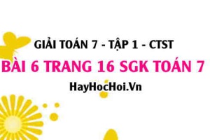Giải bài 6 trang 16 Toán 7 Tập 1 SGK Chân trời sáng tạo